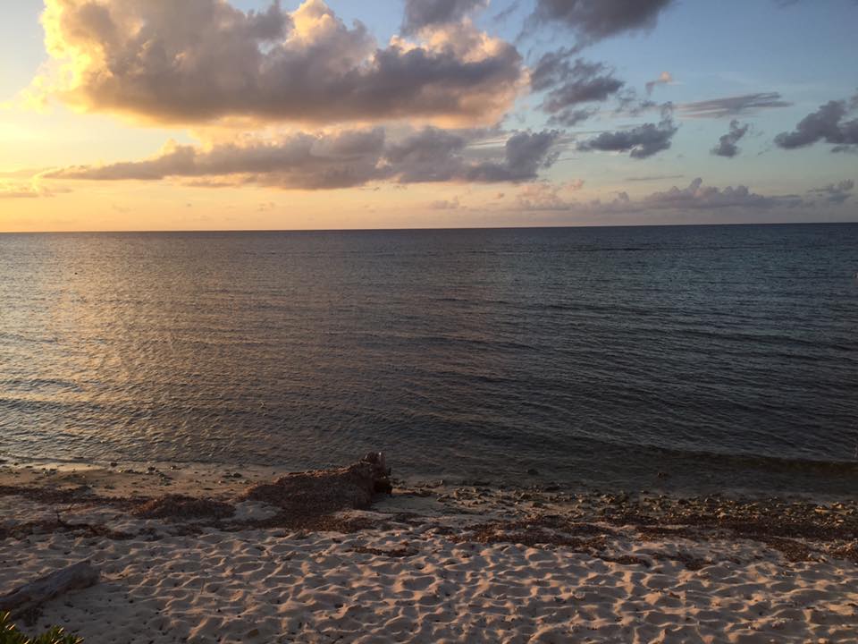 NSF REU at the Little Cayman Research&nbsp;Centre