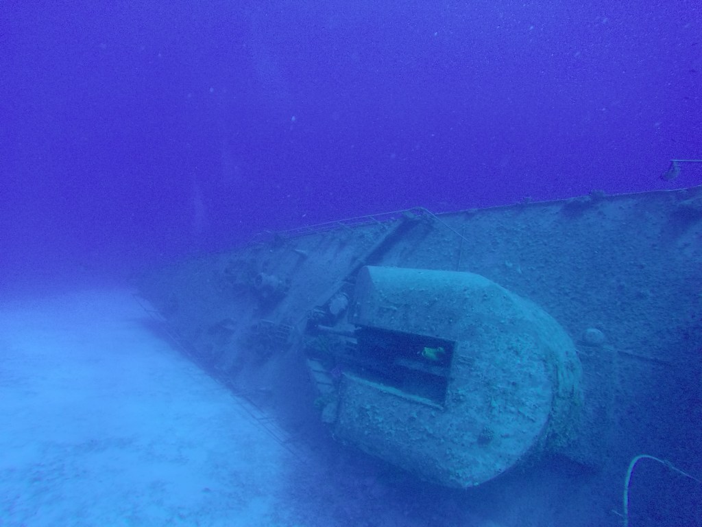 You Sunk my Battleship!: Weekly LCRC Dives&nbsp;#6