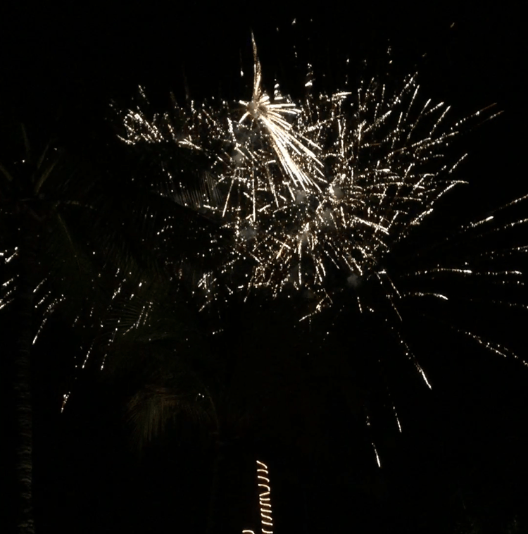 Independence Day 2016