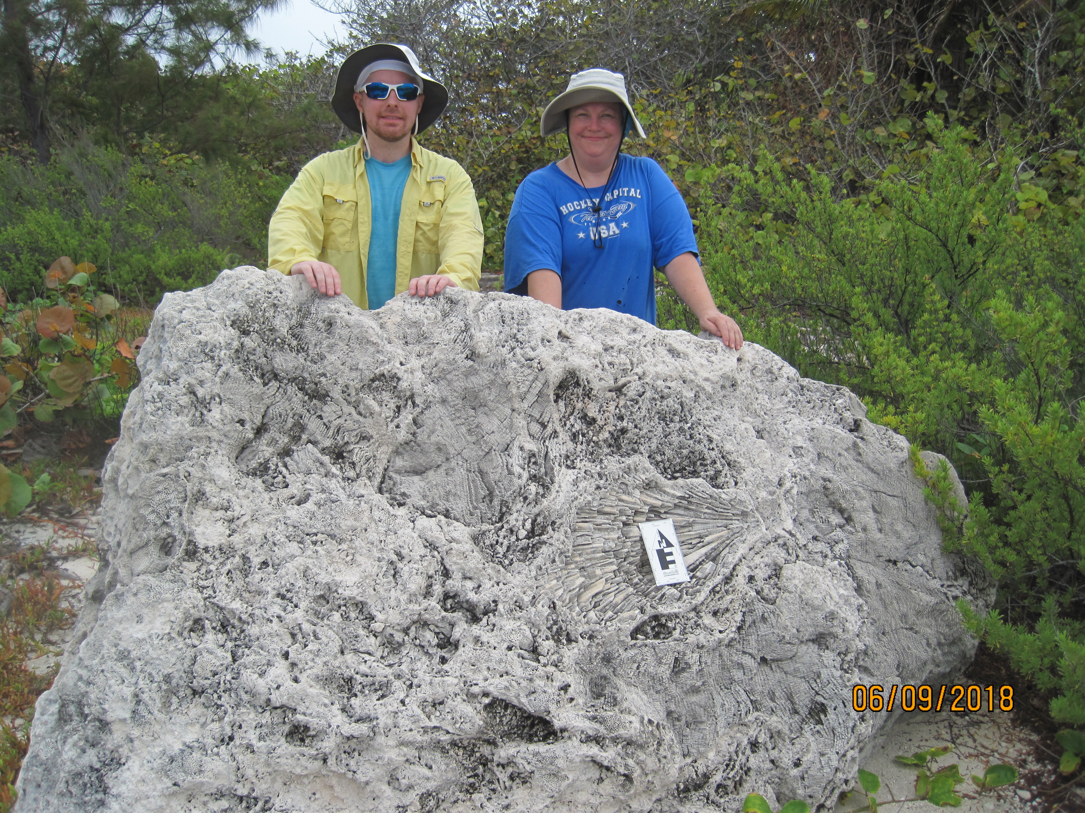 Holocene Coral