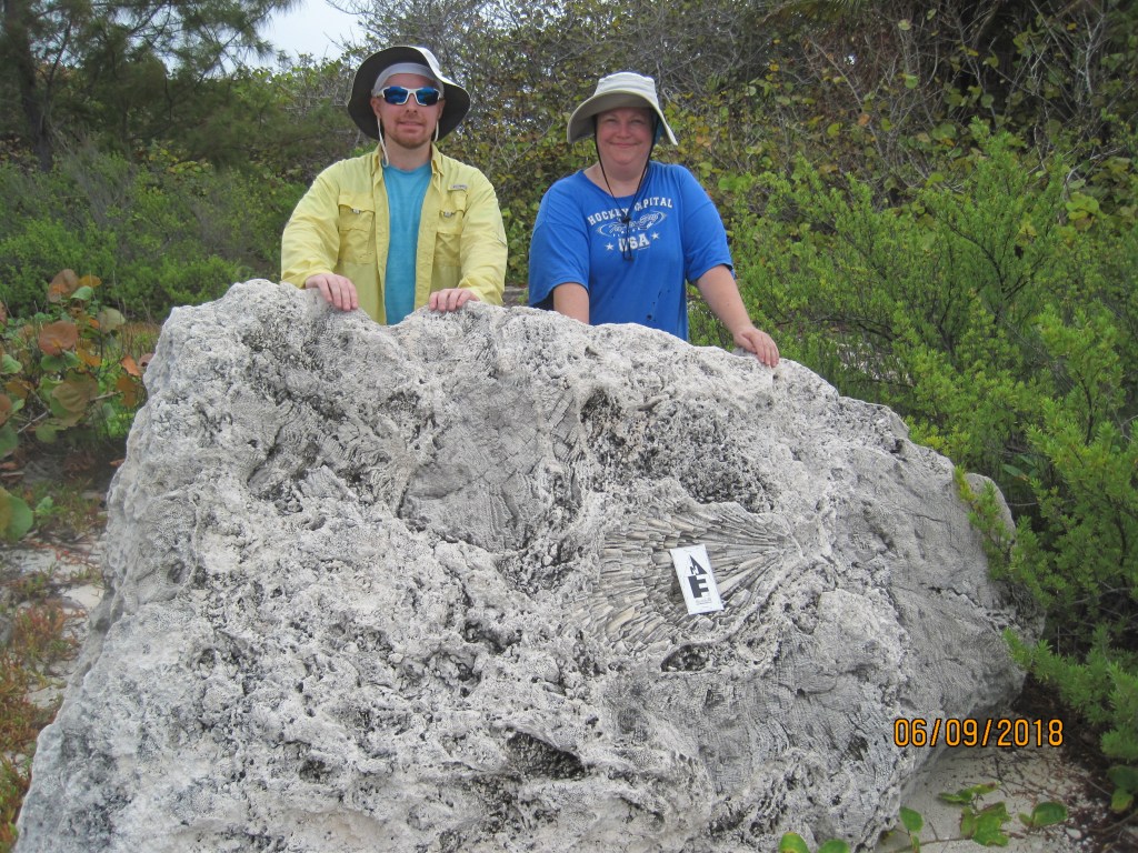Fossil Coral Fun in the Caymanian&nbsp;Sun